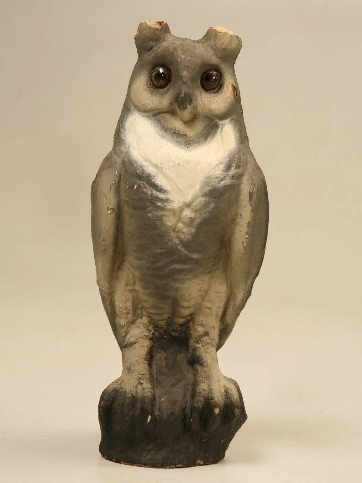 A very rare glass eyed American papier-mâché owl, from around the turn of the century that was probably used outdoors to scare the smaller birds away from your garden. The condition is issues, but the owl still has a great look.