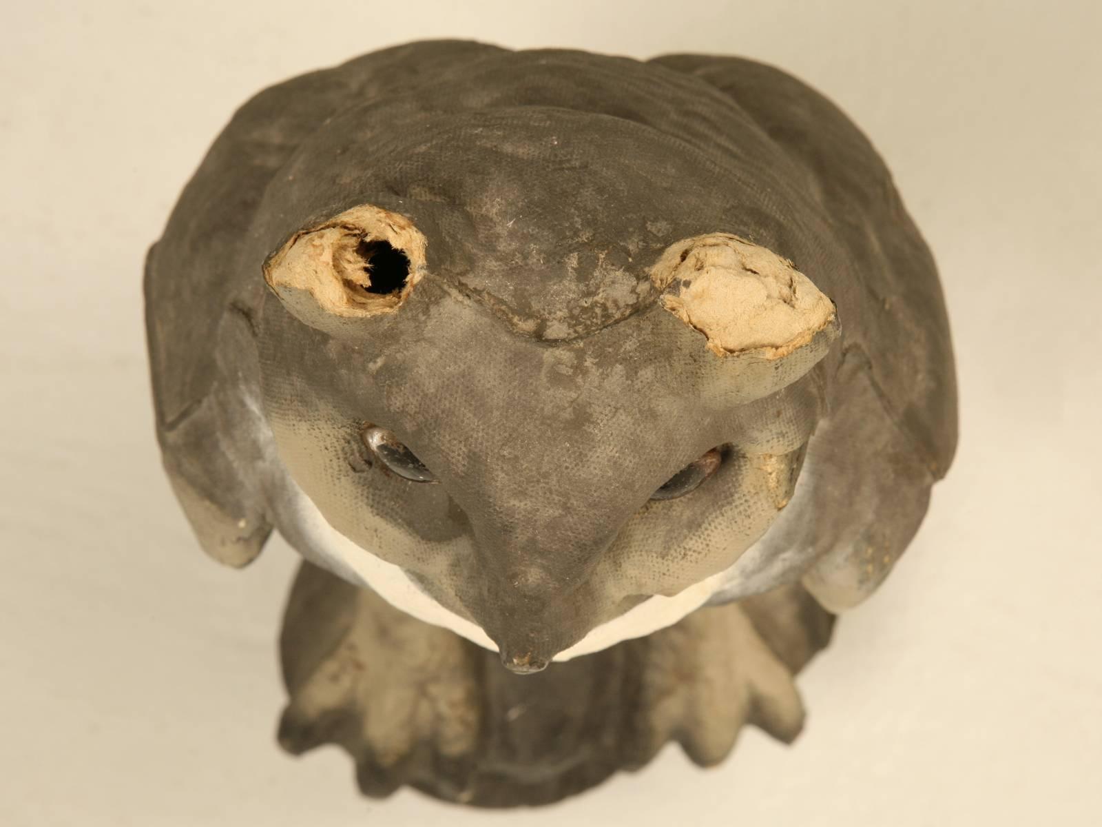 Country Papier-mâché American Owl with Glass Eyes
