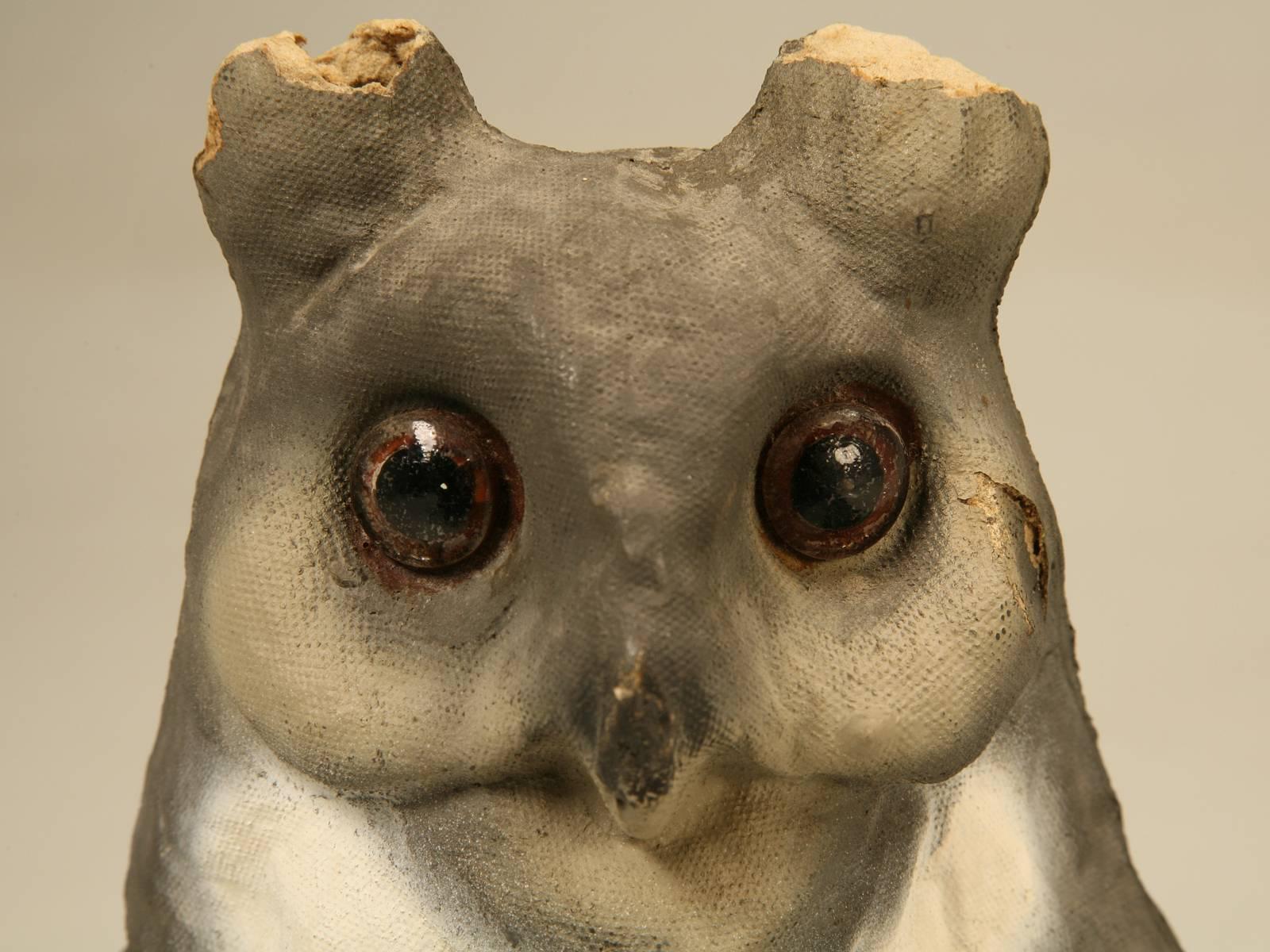 Papier-mâché American Owl with Glass Eyes In Good Condition In Chicago, IL