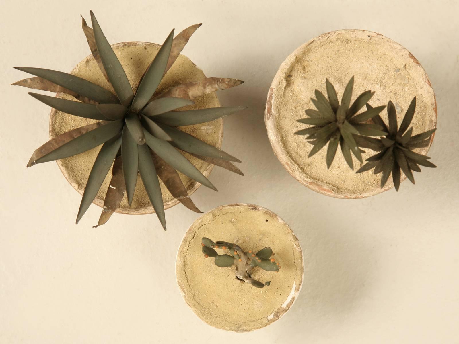 Exquisitely crafted by a French artist, these handmade metal desert plants require no watering and are detailed so carefully that the longer you look, the more you can begin to appreciate them. We can only guess on their age, but about 50 years old