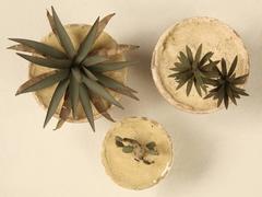 Metal Flowers in Clay Pots