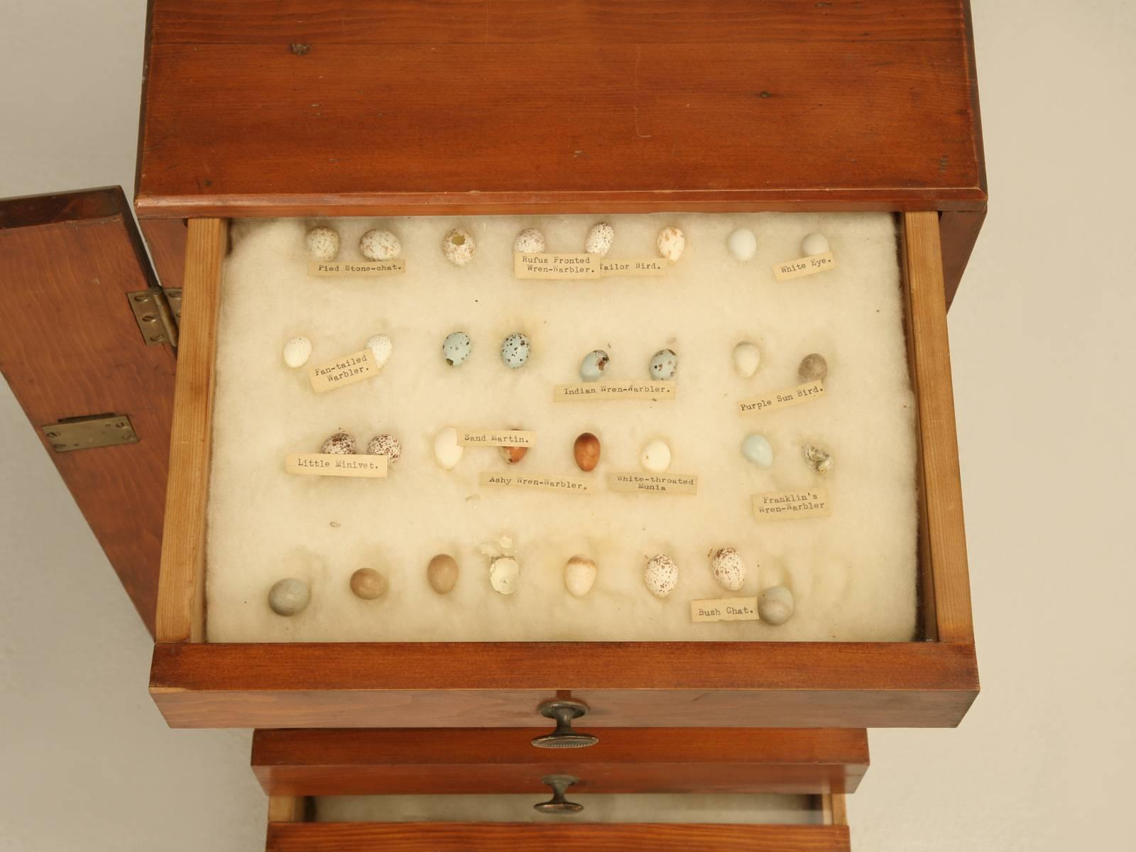 Hand-Crafted Antique Specimen Multi-Drawer Small Cabinet from England c1920's-1930's For Sale
