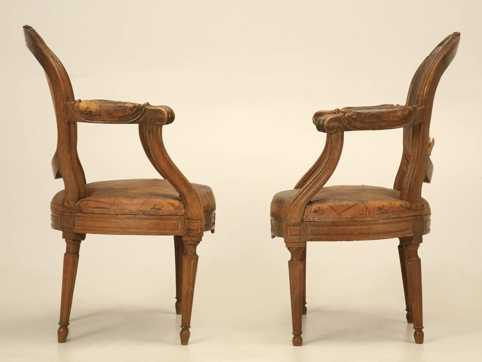 French Louis XVI Style Armchairs in Original Leather with Unusual Fleur de Lis For Sale 3