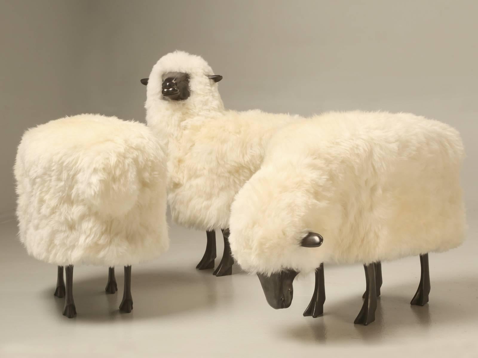 We feel privileged to be able to present these two new Sheep, to the Old Plank Sheep Collection, one you will notice is posed in a grazing position, while the other has its head cocked, or canted to the left. 