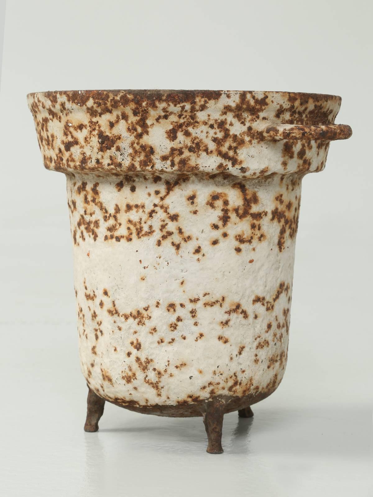 cast iron planters for sale