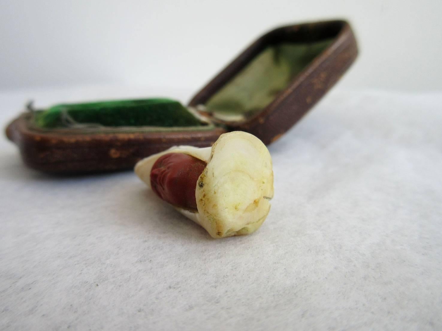 Early 20th Century Carved Jasper and Natural Pearl Head