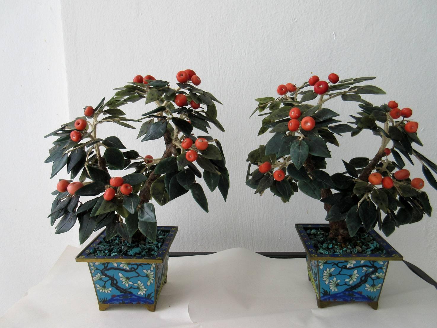 Large pair of early 20th century orange trees made out of carved specimens. The bases are intricate cloisonné depicting trees and blossoms.

 
