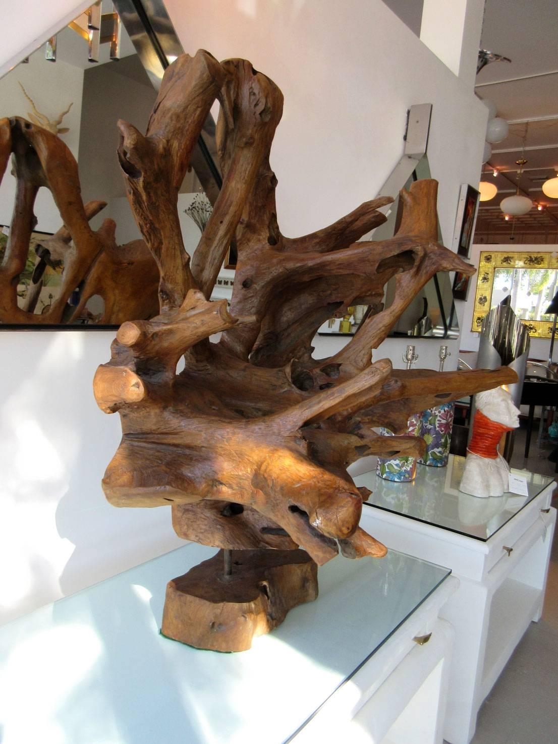 Organic Modern Petrified Wood Sculpture, Organic For Sale