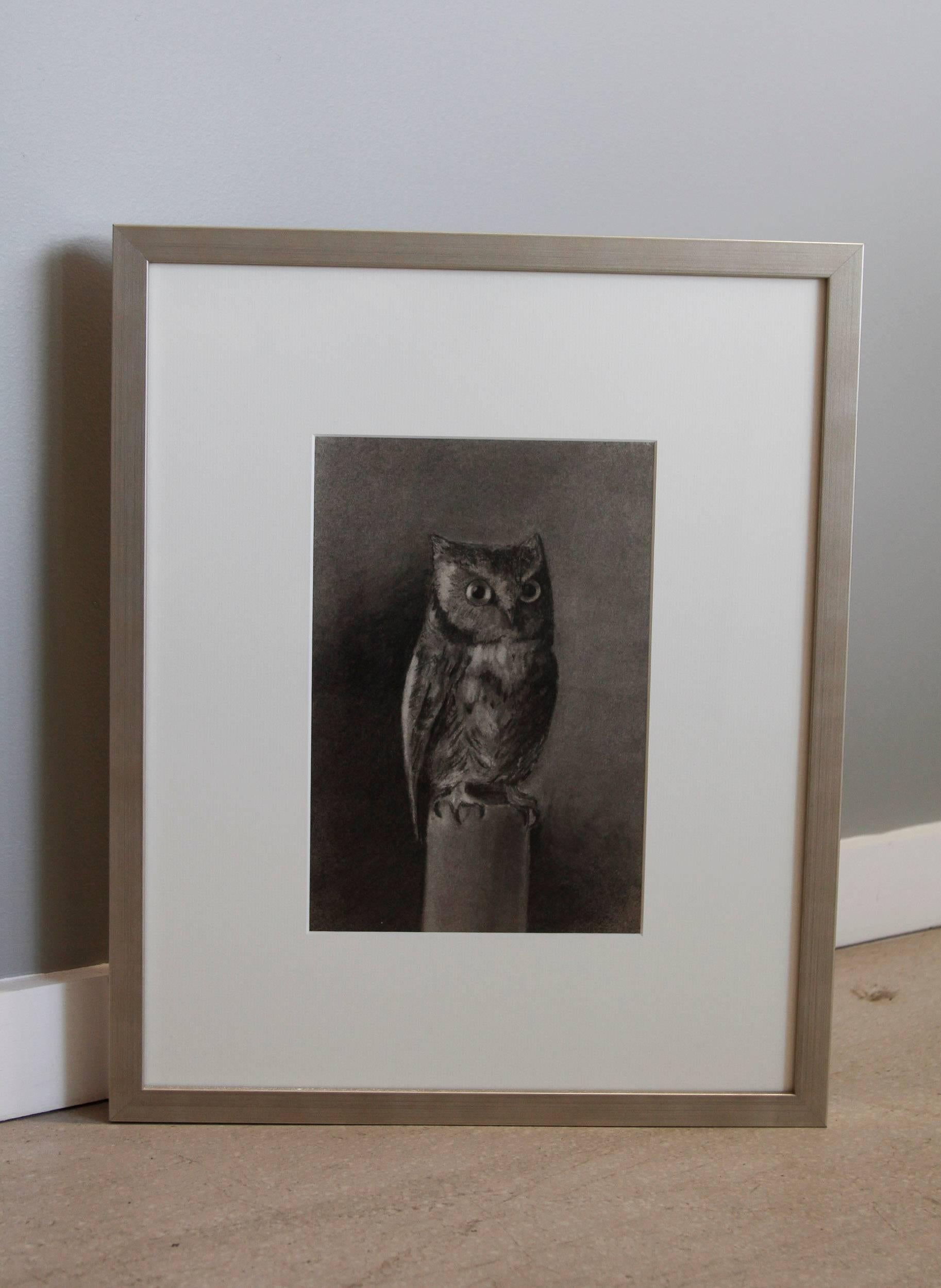 Moody little charcoal drawing of an owl signed O