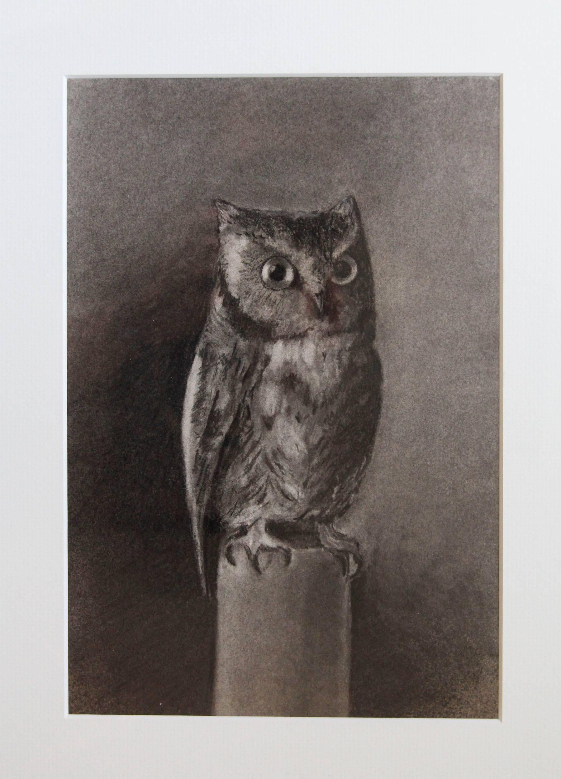 owl charcoal drawing
