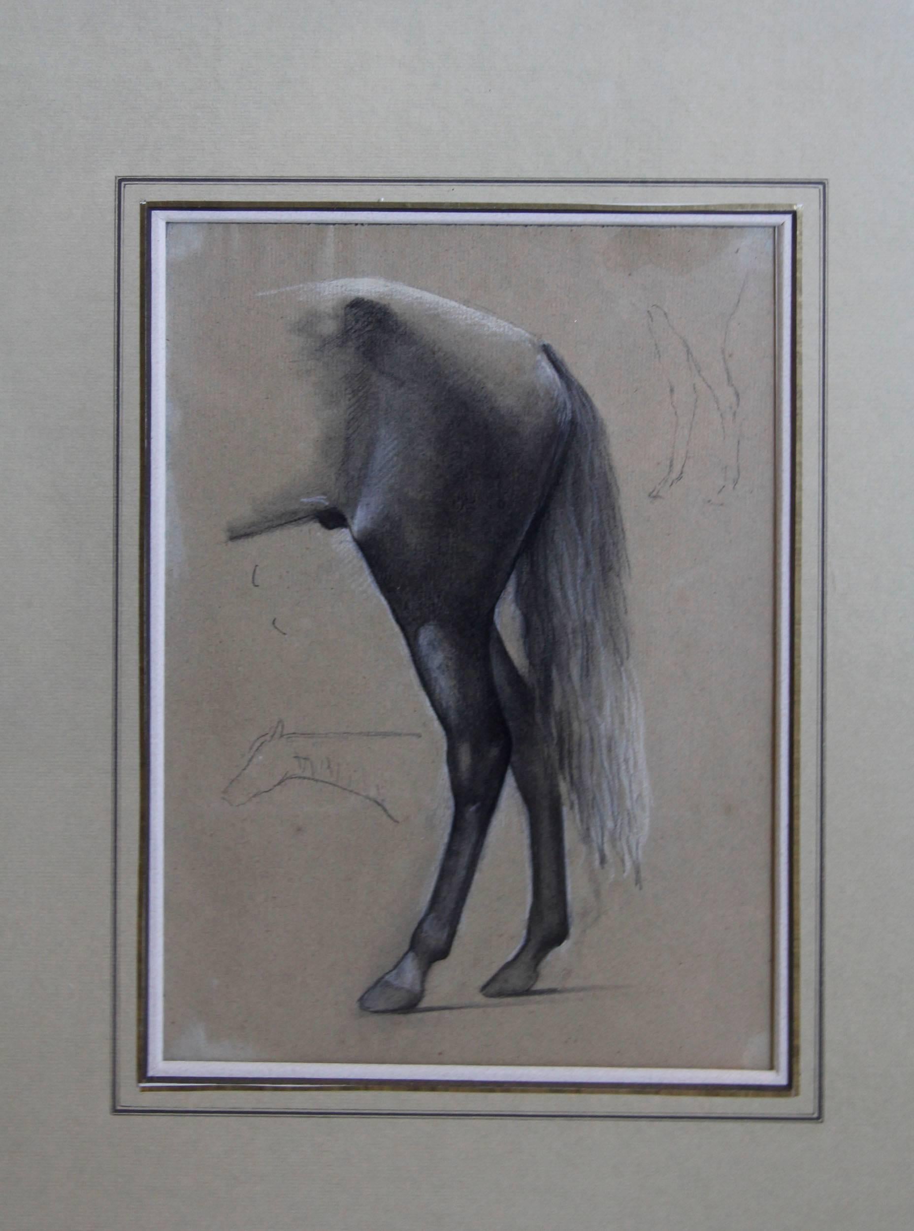 Well rendered pencil study of the hind quarters of a stallion. The drawing is of the French, 1850-1865.
  