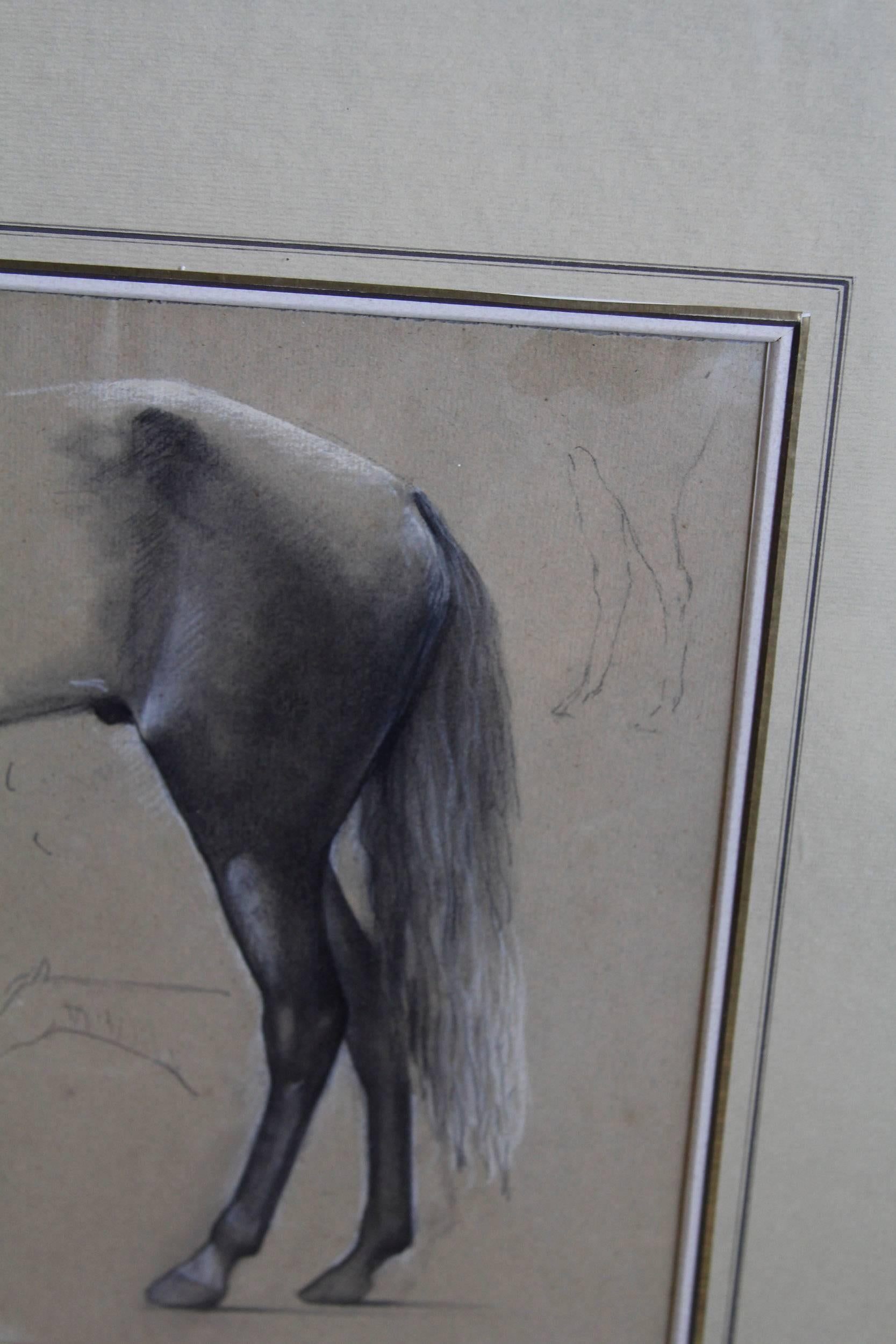 20th Century Drawing of Horse For Sale