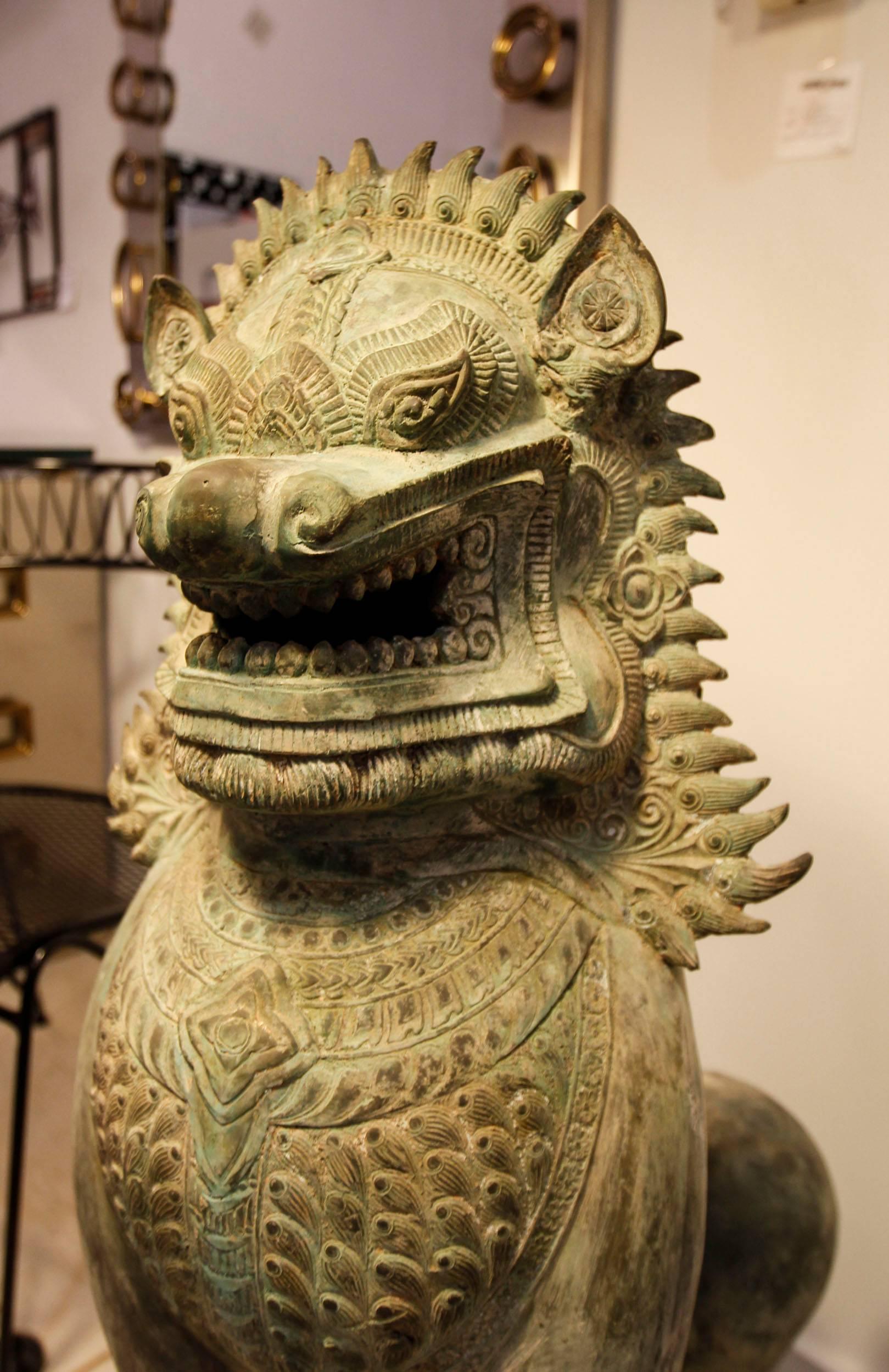 Pair of Monumental Asian Bronze Foo Dogs In Good Condition For Sale In West Palm Beach, FL
