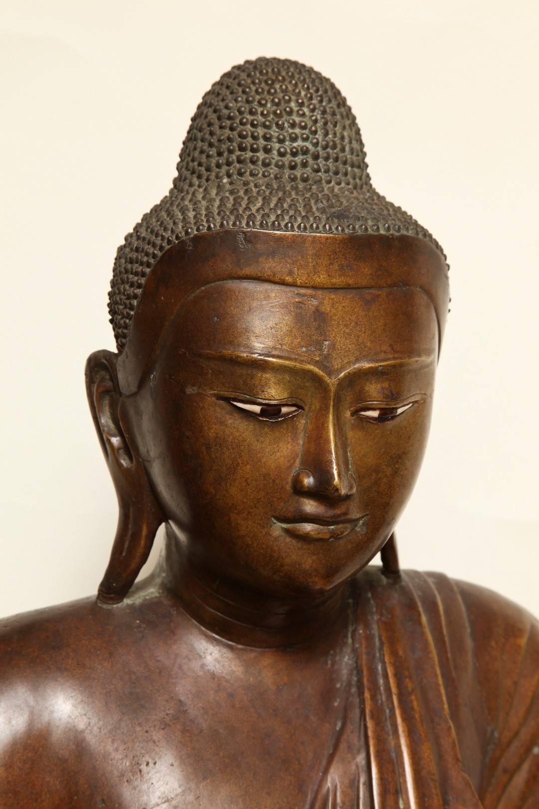 A bronze sculpture of a Buddha head and torso, with excellent fluid detailing to the robes, and the tooled hairline, the eyes with ceramic inserts for the pupils. Museum mounted.