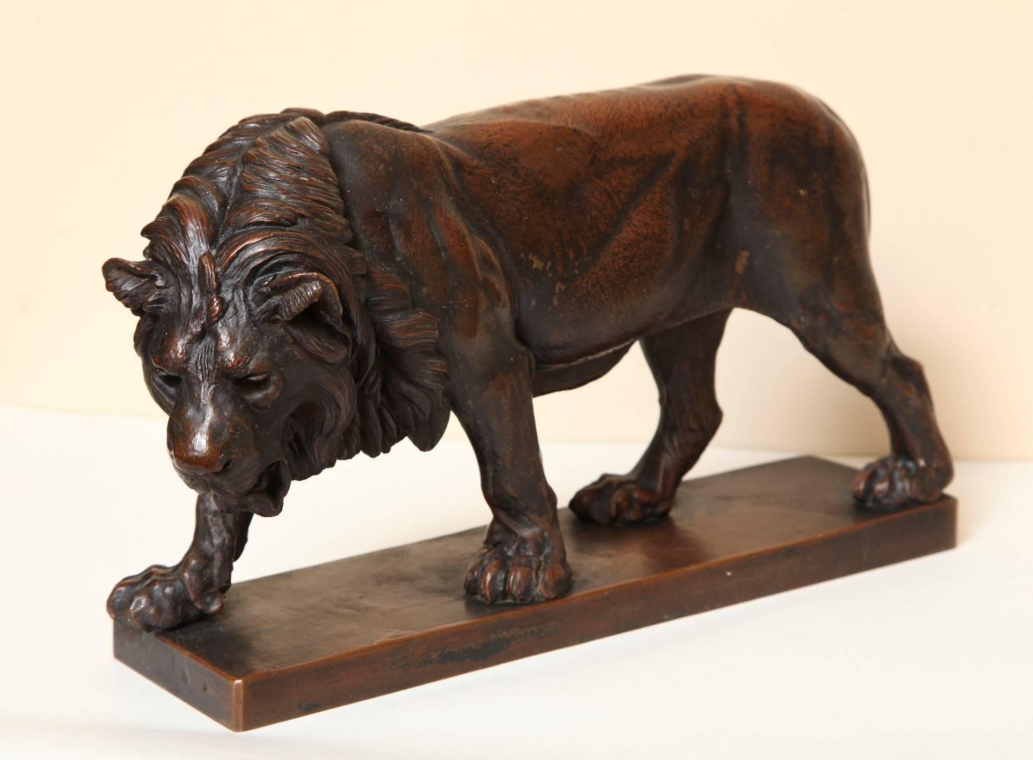 A late 19th century patinated bronze Grand Tour sculpture of a lion, with traces of verdigris in the mane, standing on a rectangular base, impressed J. Haehnel signature to base.