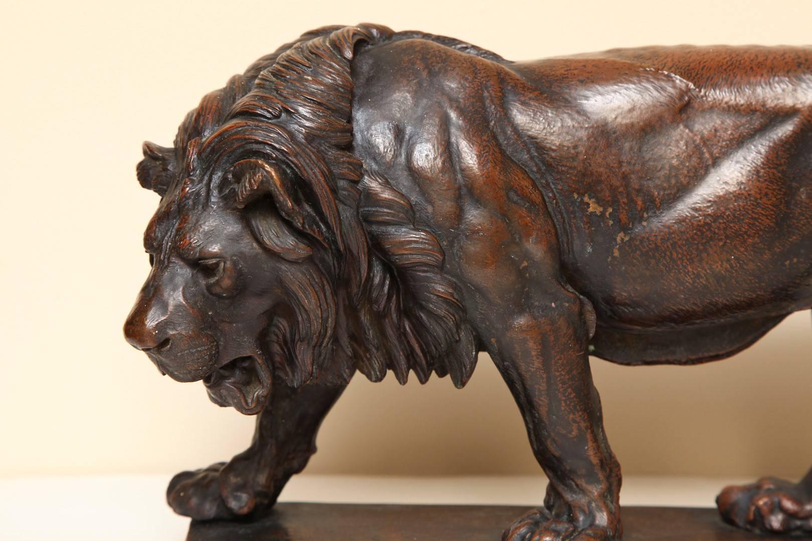 Grand Tour Late 19th Century Patinated Bronze Lion on Base by Julius Heinrich Haehnel