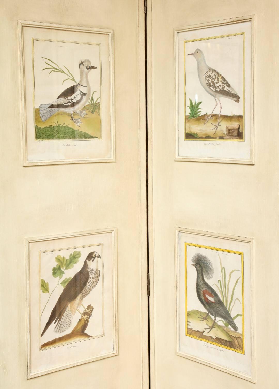 A French 19th century four-panel painted wood screen, each panel inset with various 18th century ornithological watercolor plates with accompanying French inscription of the species of bird, to the bottom of the plate, the screen with reverse hinges.
