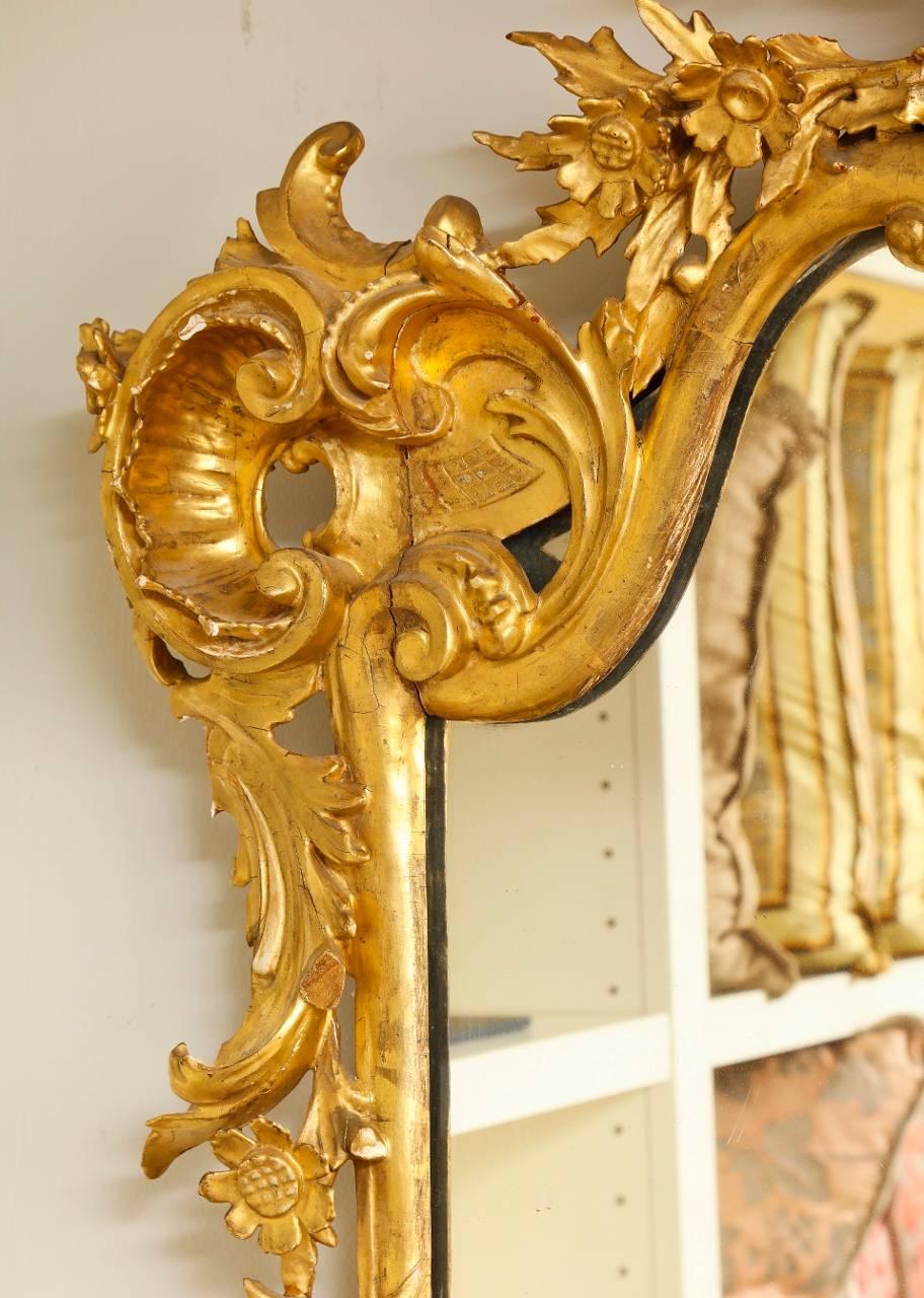 Wood Rococo Style Carved Giltwood Mirror