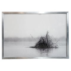 Inle Lake Floating Gardens, a Photography by Vicente Wolf