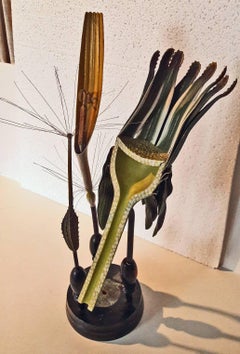 Robert Brendel's  Botanical Model, 19th Century
