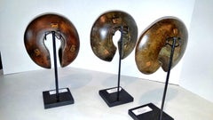 Namibische Holzarmreifen:: auf Ständer