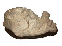 Chinese Scholar's Rock