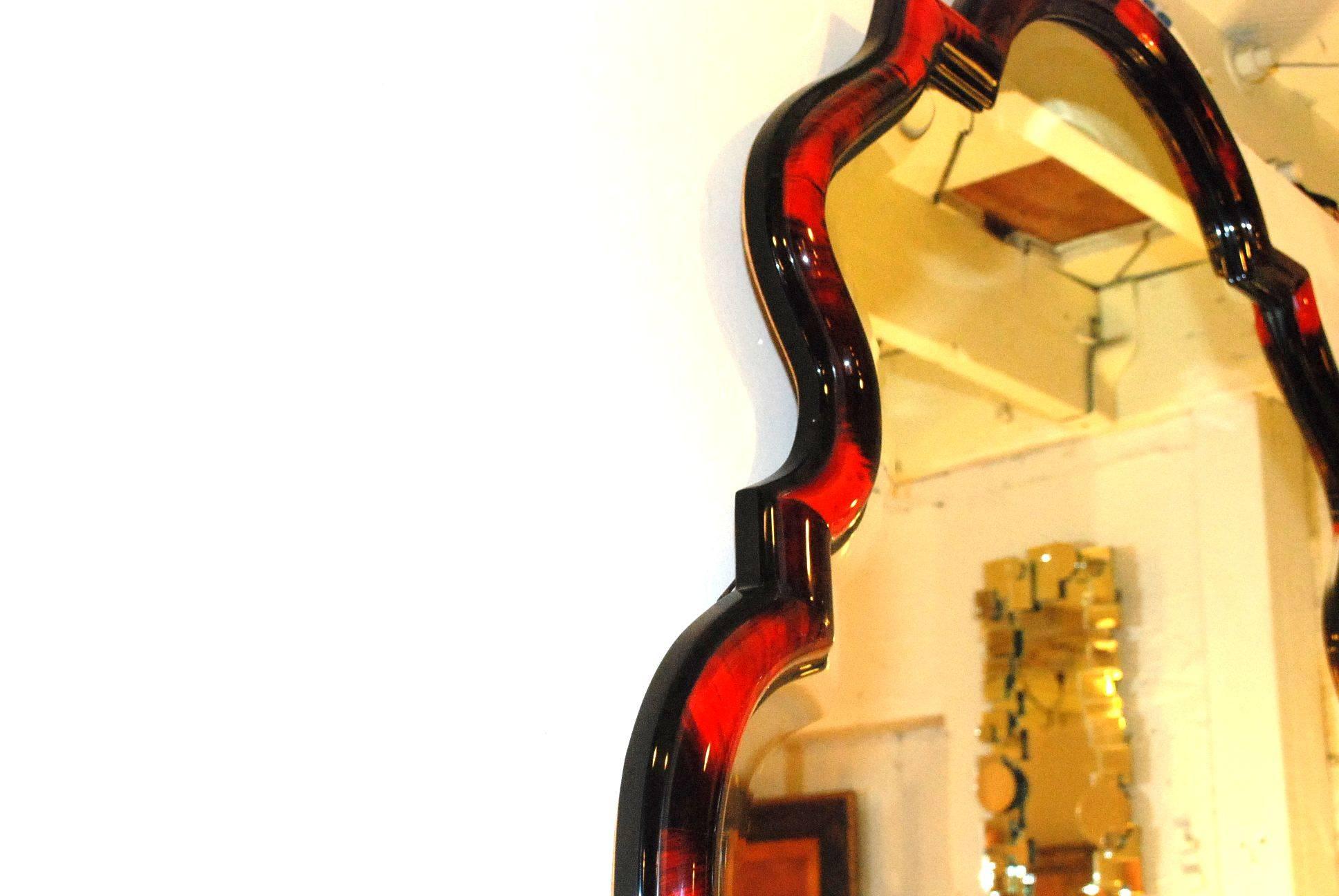 Beautiful Red Horn Chippendale Style Mirror 2