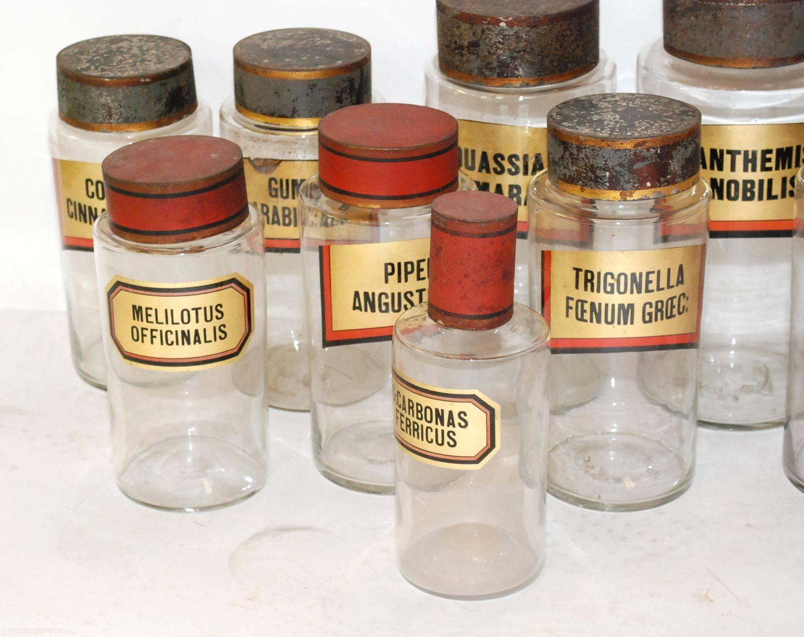 French Set of 15 Apothecary Glass Jars