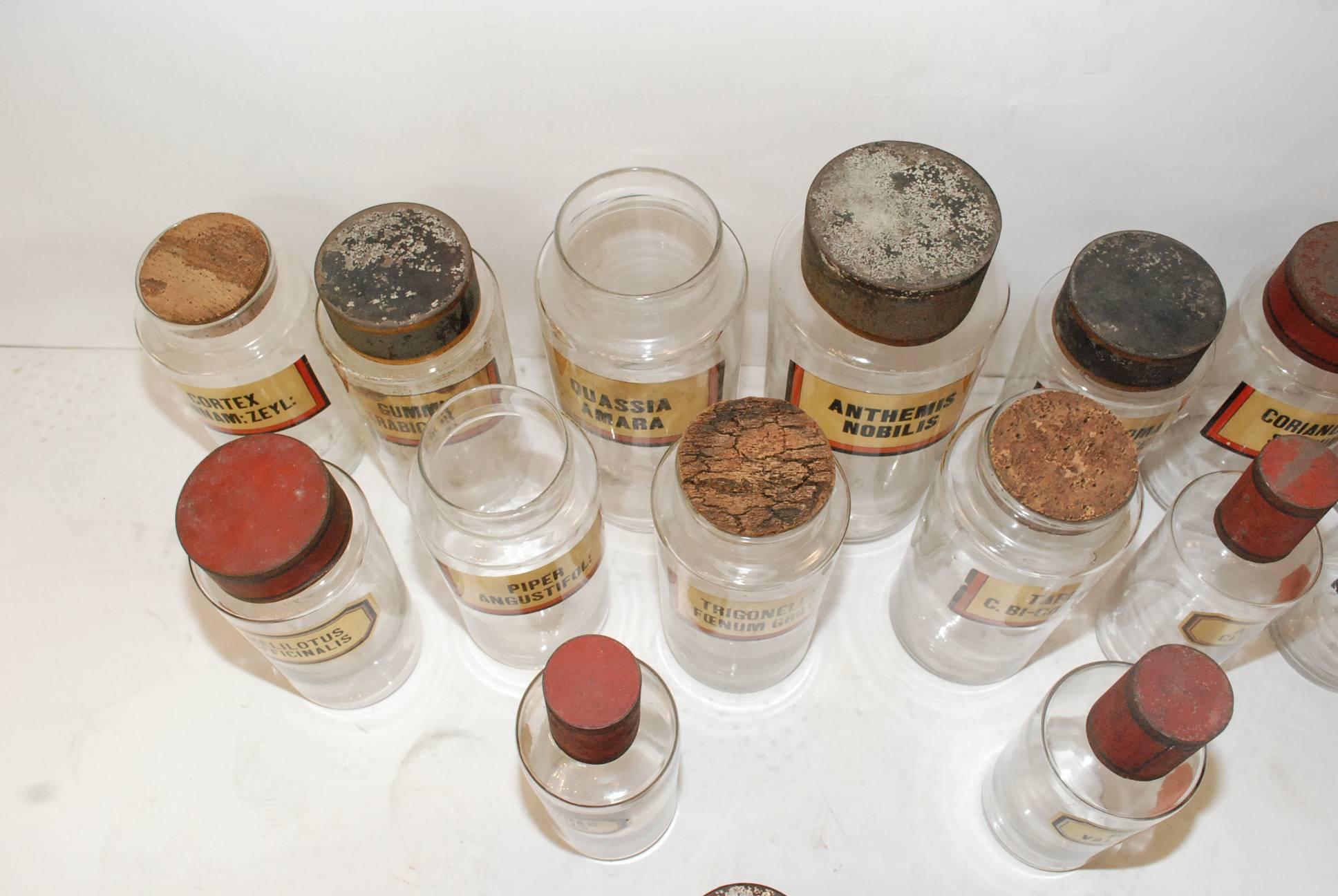 Set of 15 Apothecary Glass Jars 2