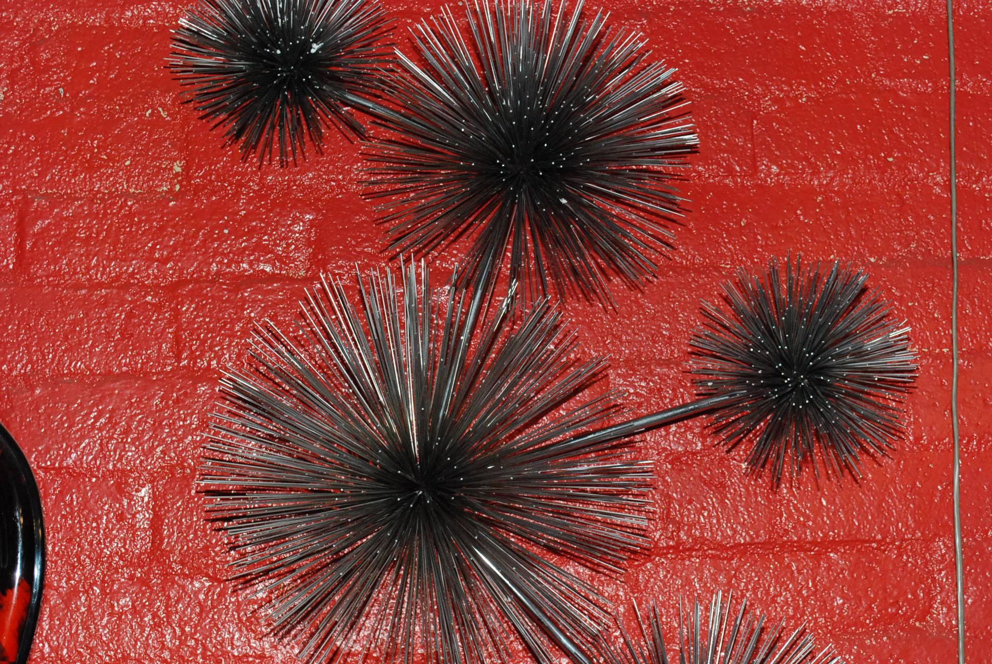 sea urchin wall decor