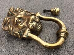 Lion Door Knocker in Cast Bronze