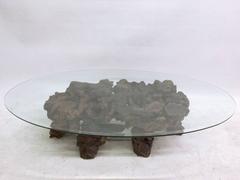 Large Californian Mid-Century Burl Wood Coffee Table