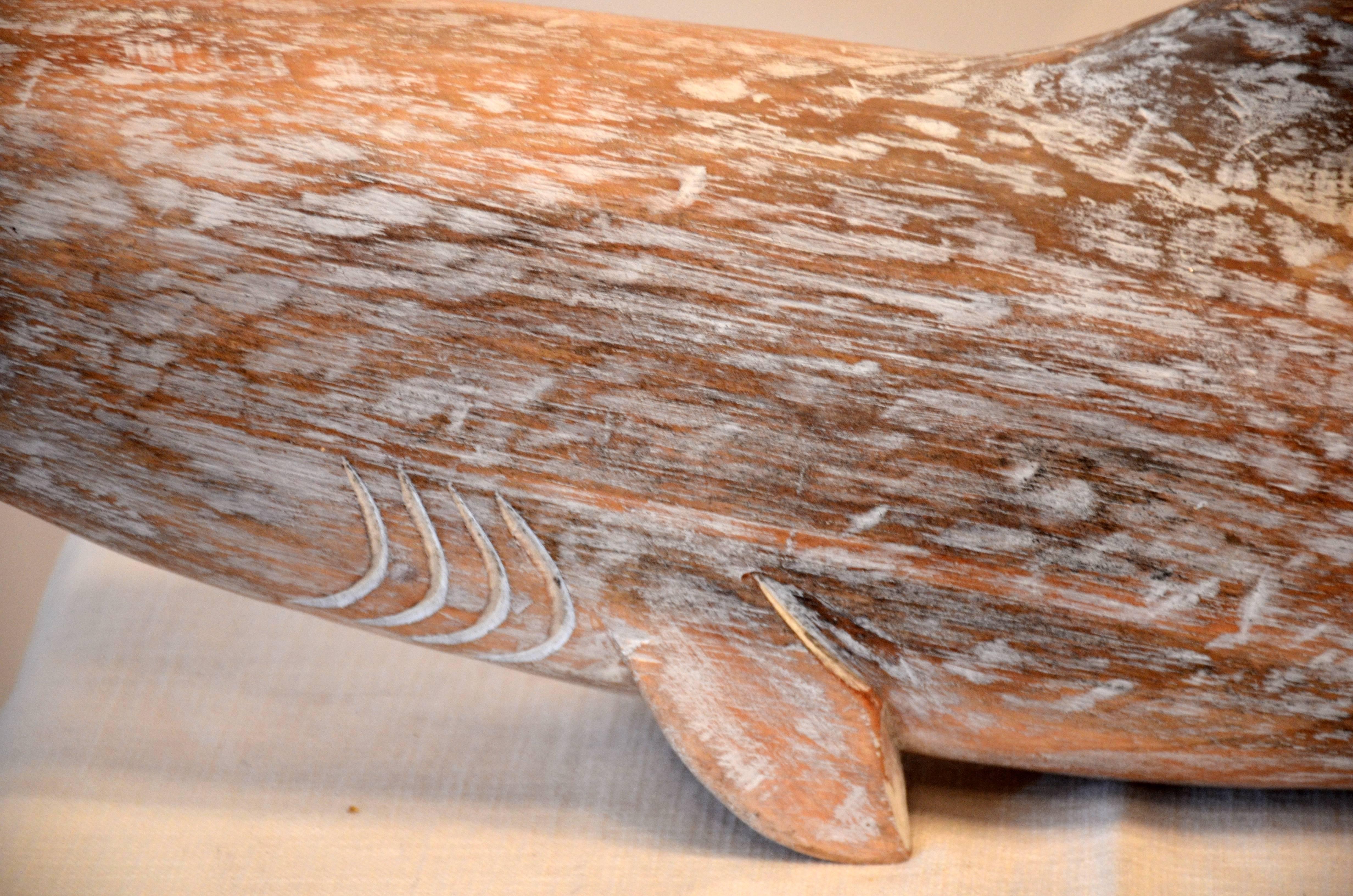Carved Belgium Oak Shark 1