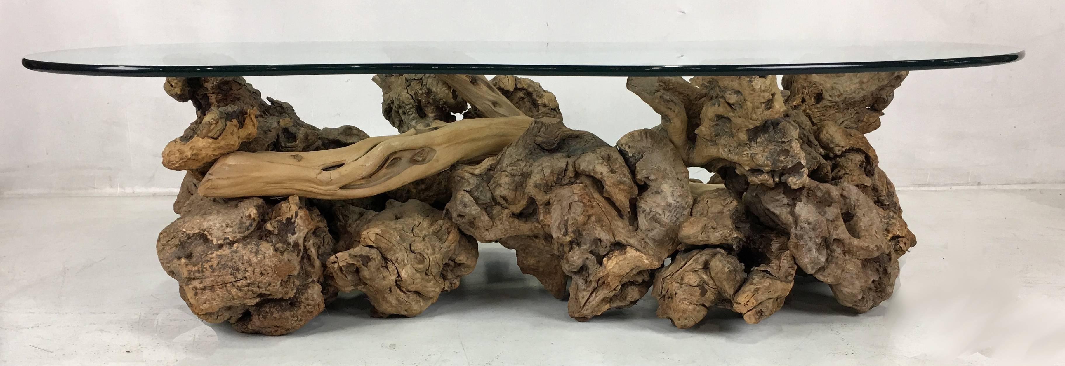Beautiful assemblage of gnarly burl root wood elements attached around a central spar of cypress driftwood. This particular table is the nicest one we've offered yet. The maker was having a good day when he made this one and the original owner