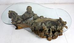 Large Root Burl Driftwood Coffee Table with Free-Form Glass Top