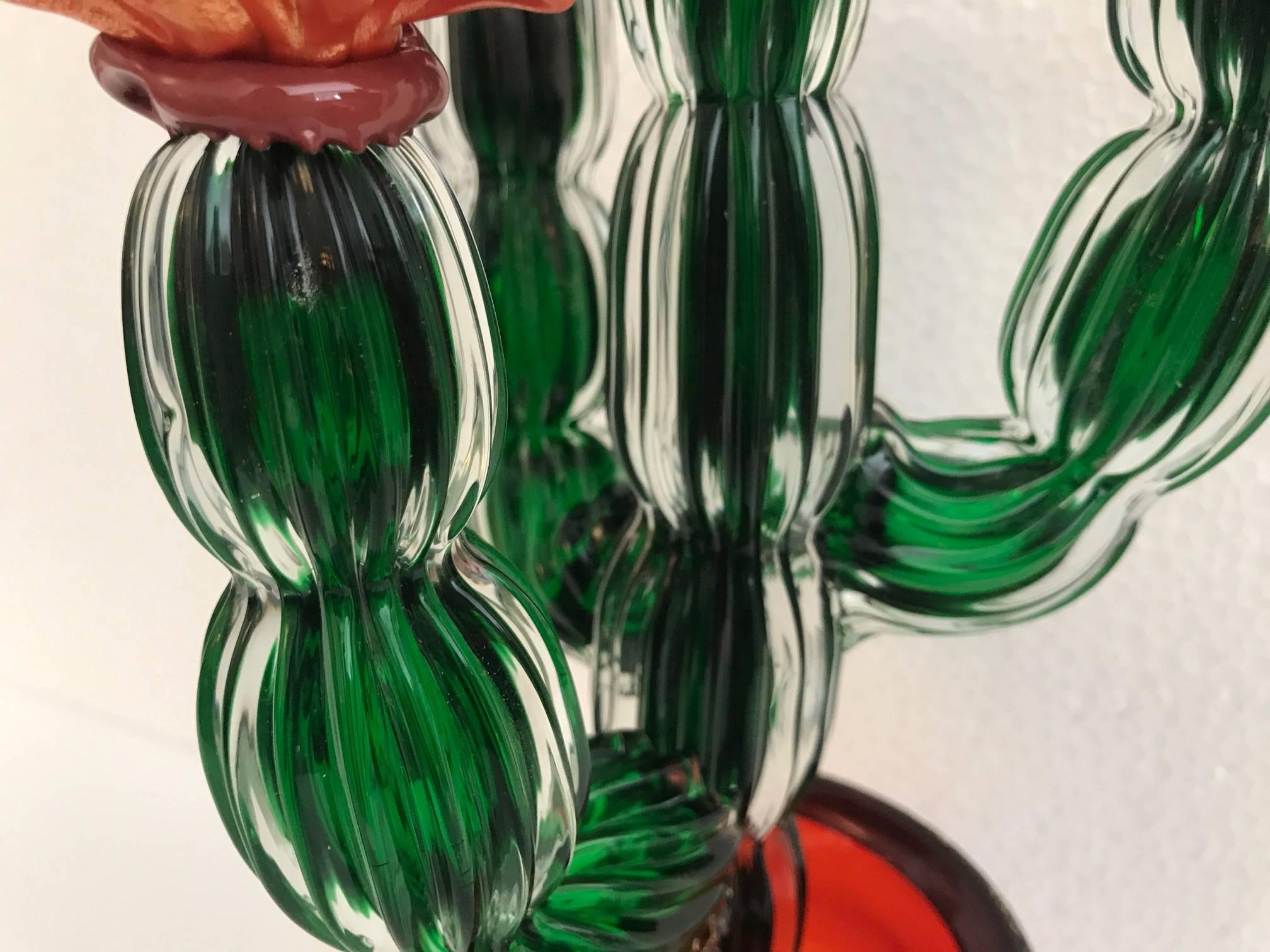 glass cactus pot