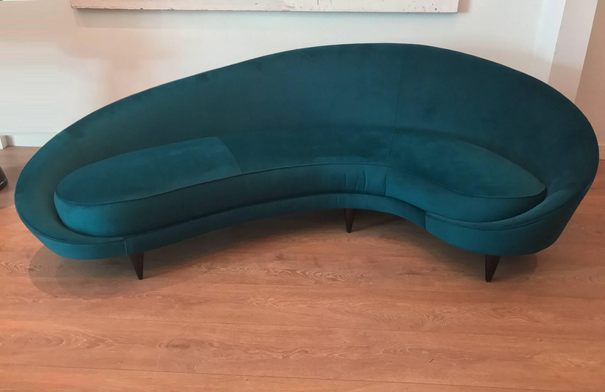 Mid-Century Italian large curved  sofa by Federico Munari. Newly upholstered with peacock blue velvet by Thompson (Caspian blue), dark stained conical wooden legs.
Very sensual curves and absolutely comfortable, please check pictures and listings