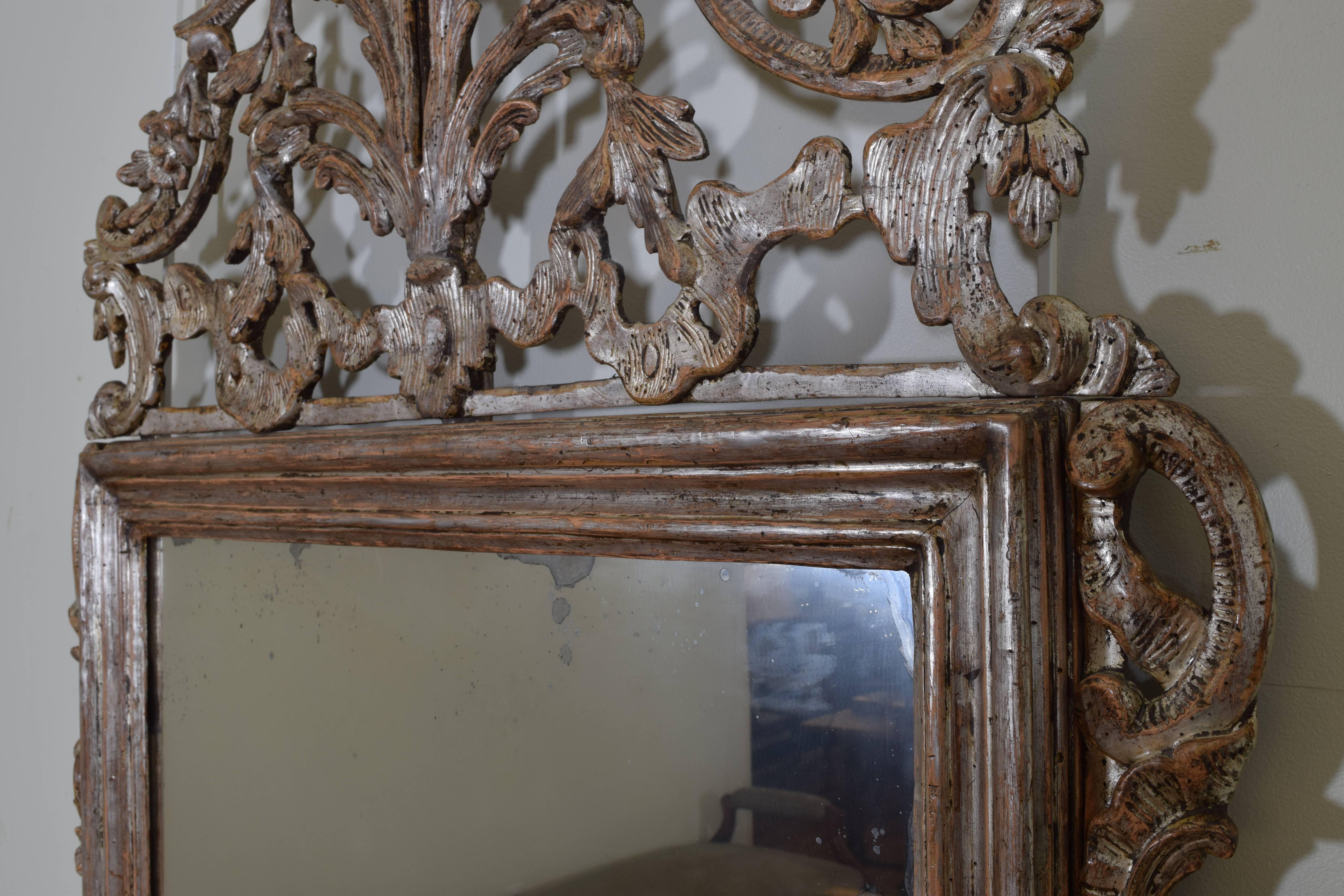 Italian, Piemontese, Silver Gilt Rococo Mirror, 18th Century 2