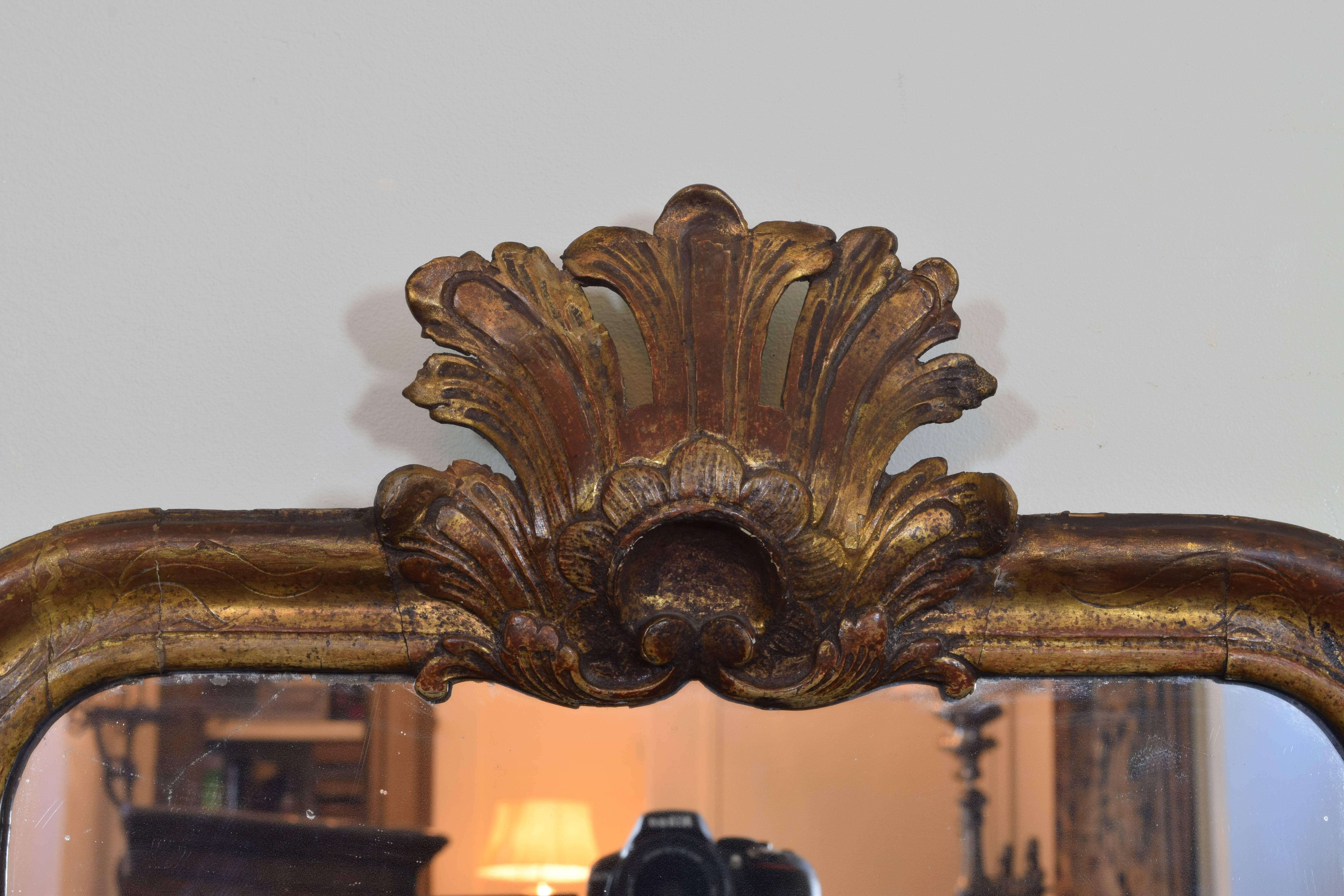 French Louis Philippe Giltwood and Shell Carved Mirror, Mid-19th Century In Excellent Condition In Atlanta, GA