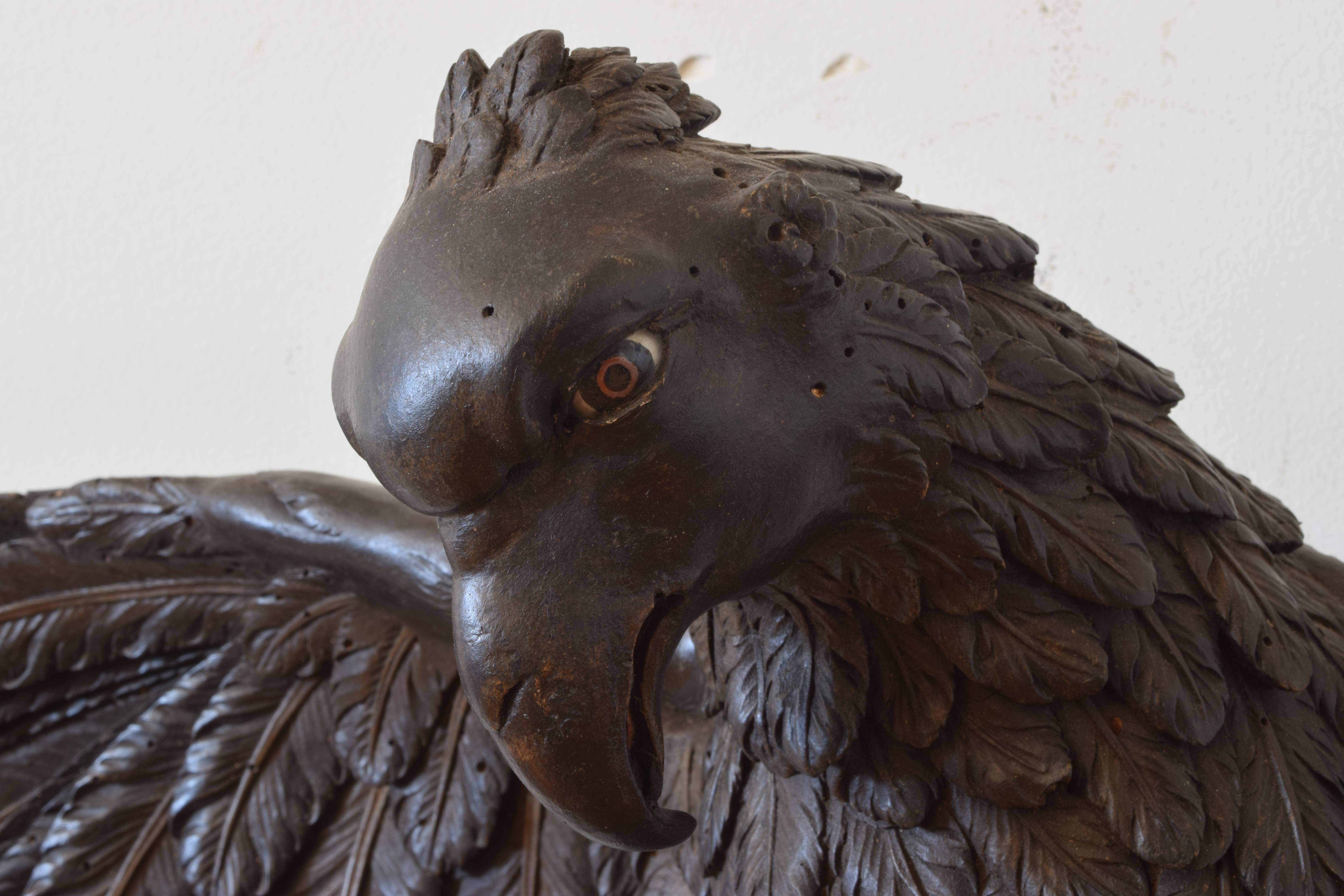 Italian Empire Period, Naples, Carved Wooden Eagle, circa 1800 1