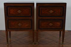 Pair of Northern Italian Neoclassic Rosewood and Ebonized Bedside Commodes