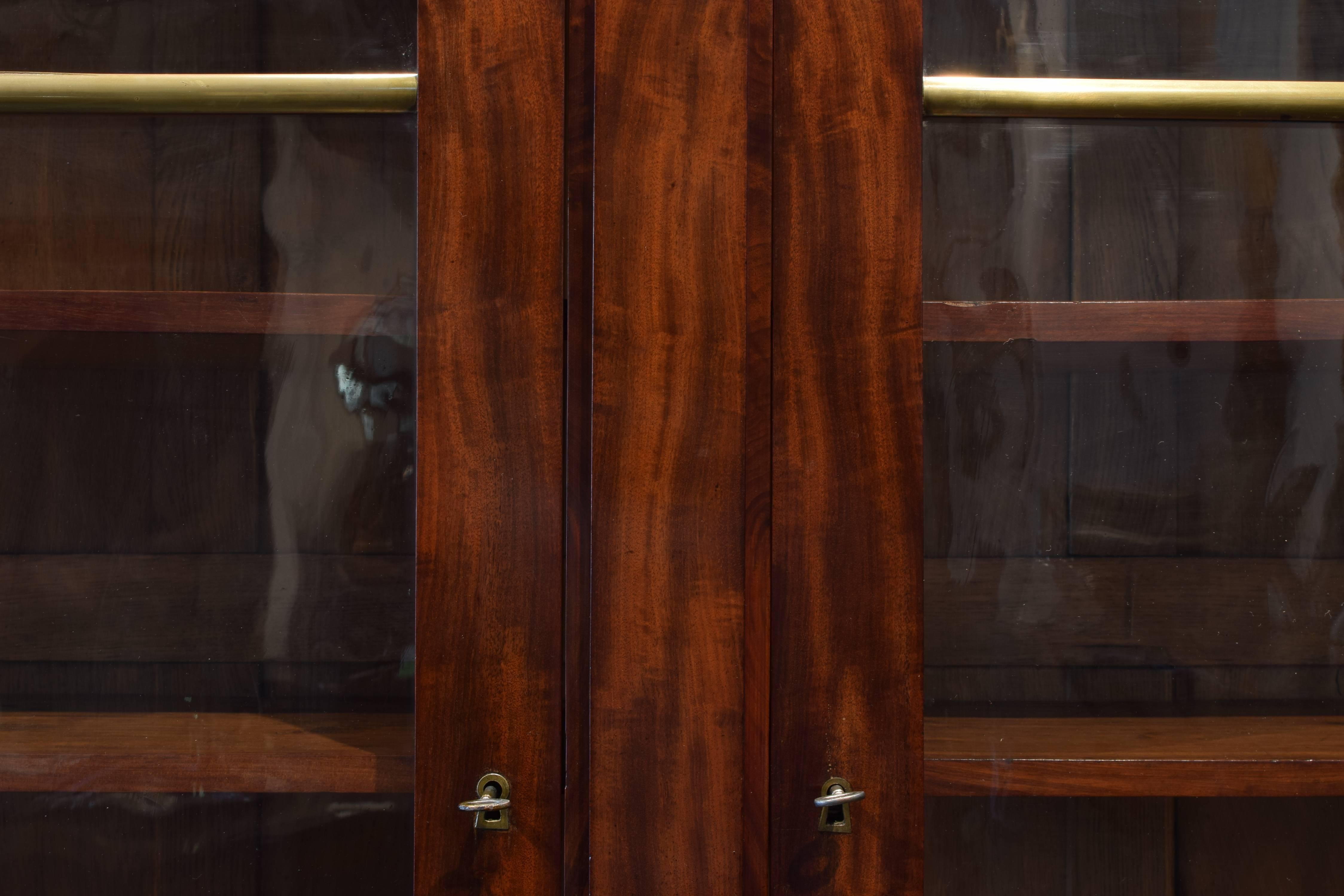 Italian Neoclassic Mahogany Two-Door Cabinet, Original Glass, Mid-19th Century 3