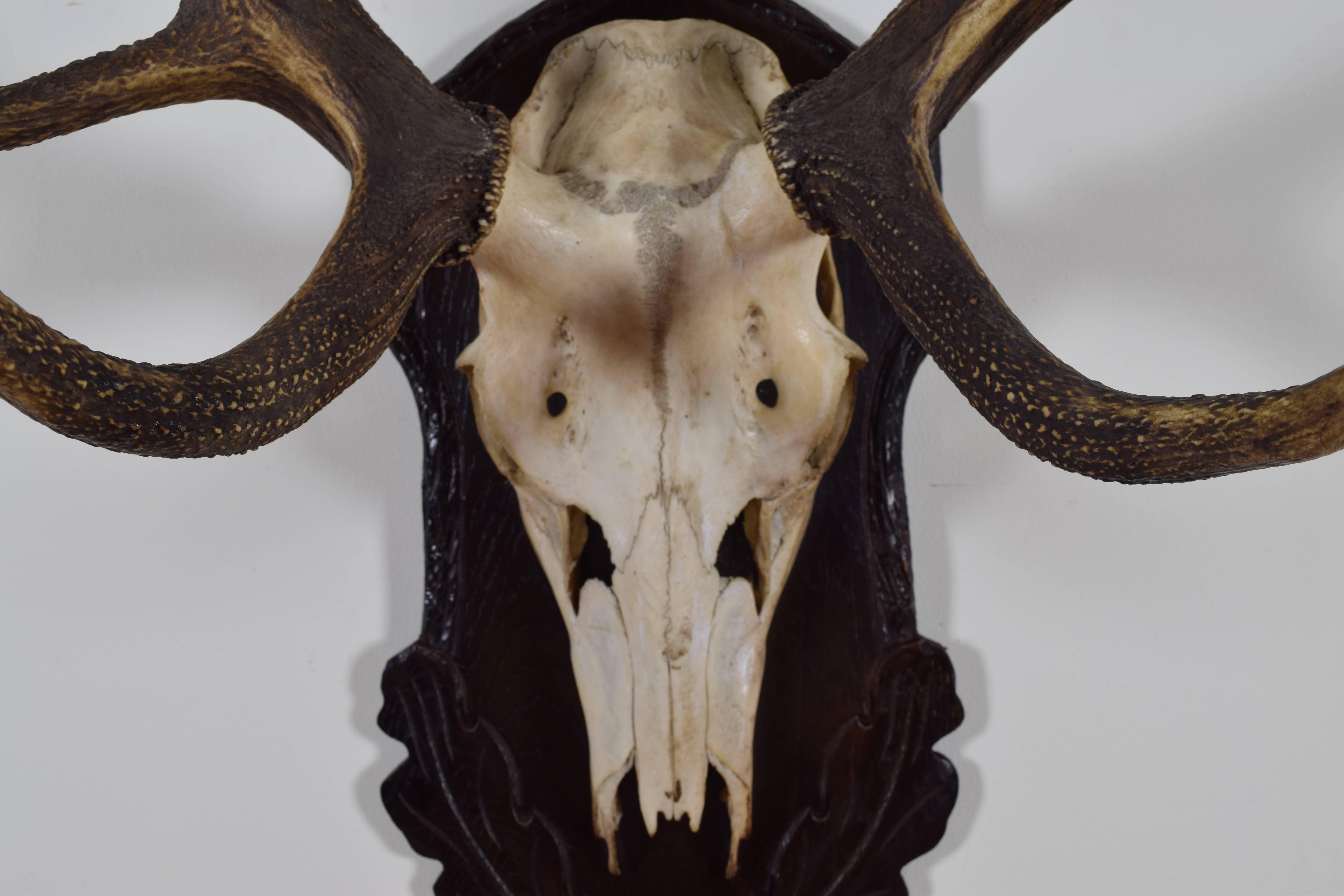 antler in german