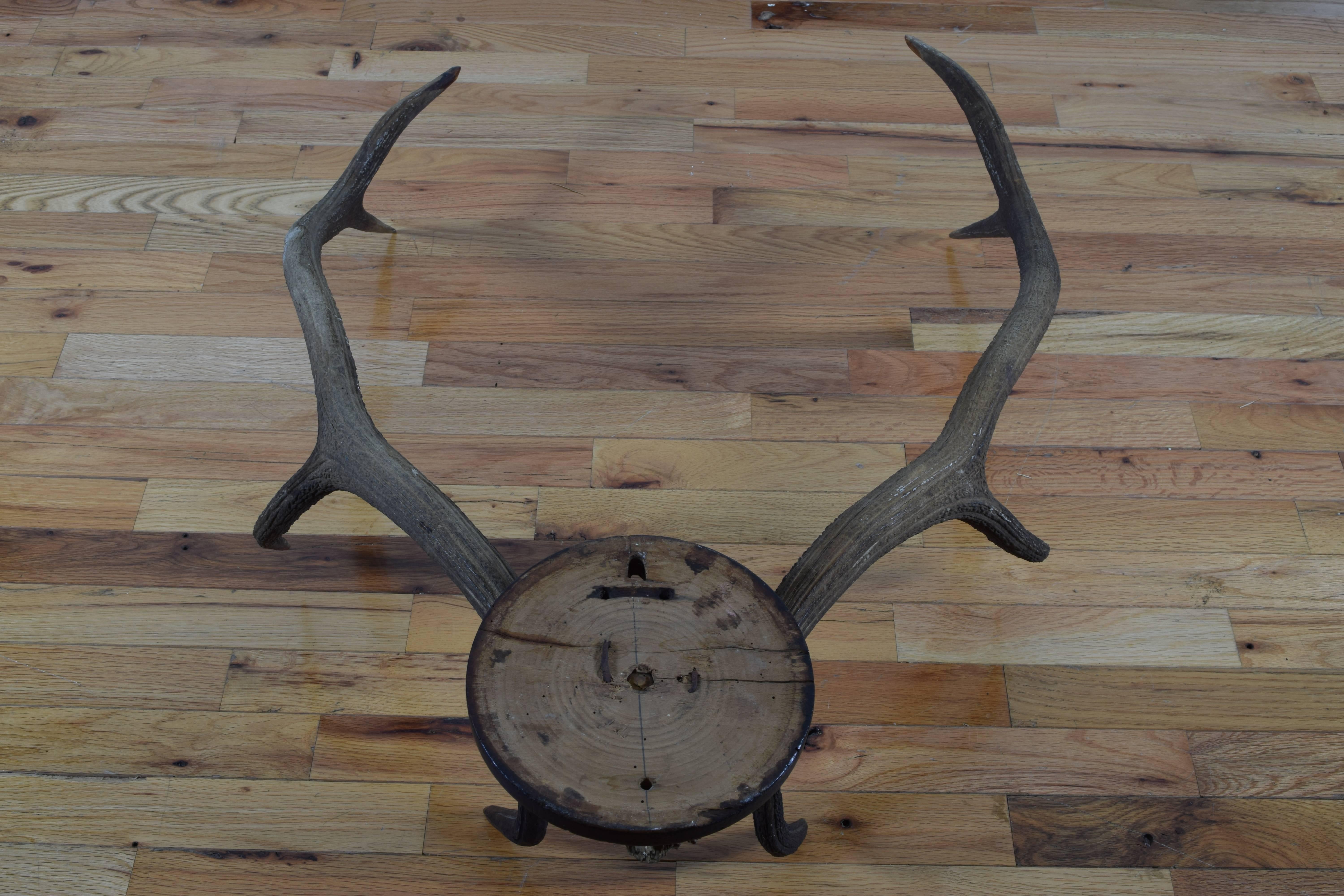 Continental Large Deer Antler and Partial Upper Skull Mount, 20th Century 2