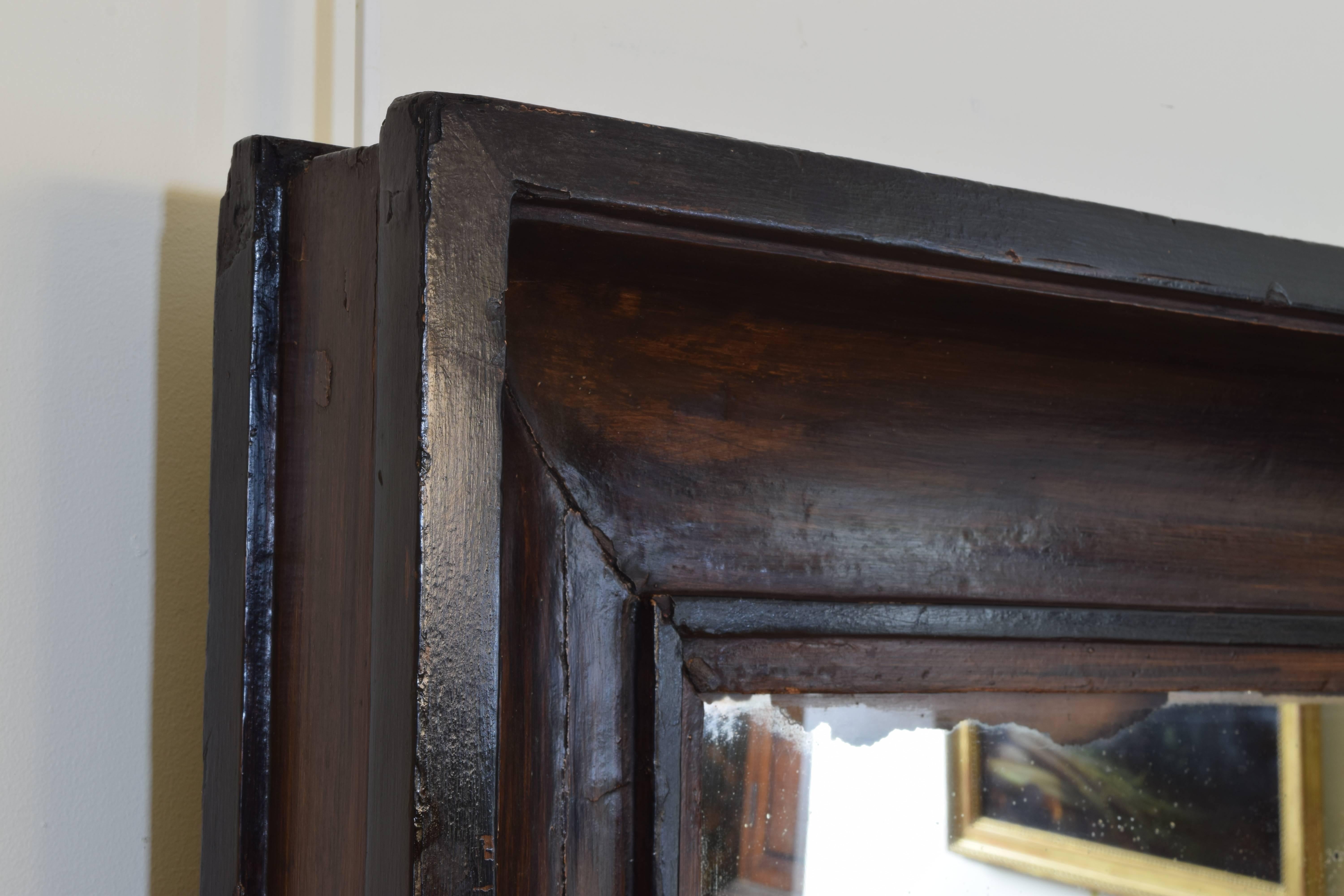 French Faux Grain Painted and Ebonized Wall Mirror, 19th cen. In Good Condition For Sale In Atlanta, GA