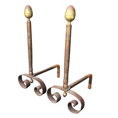 Elegant French Steel and Brass Andirons, Incredible, circa 1900