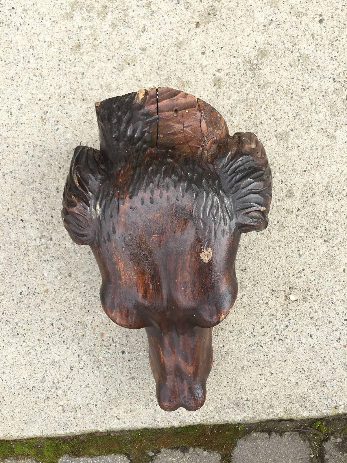 19th Century Hand-Carved Dog Head 1