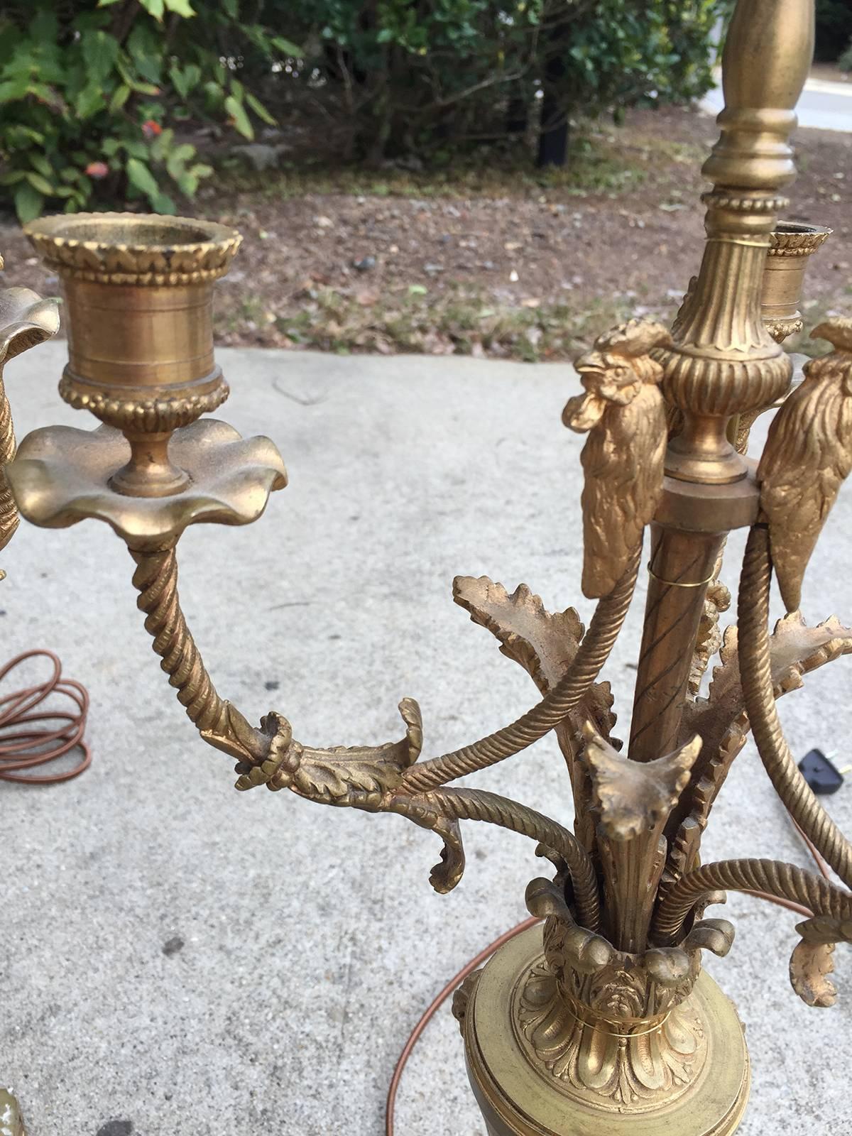Pair of 19th century French Louis XVI style gilt bronze candelabra as lamps.