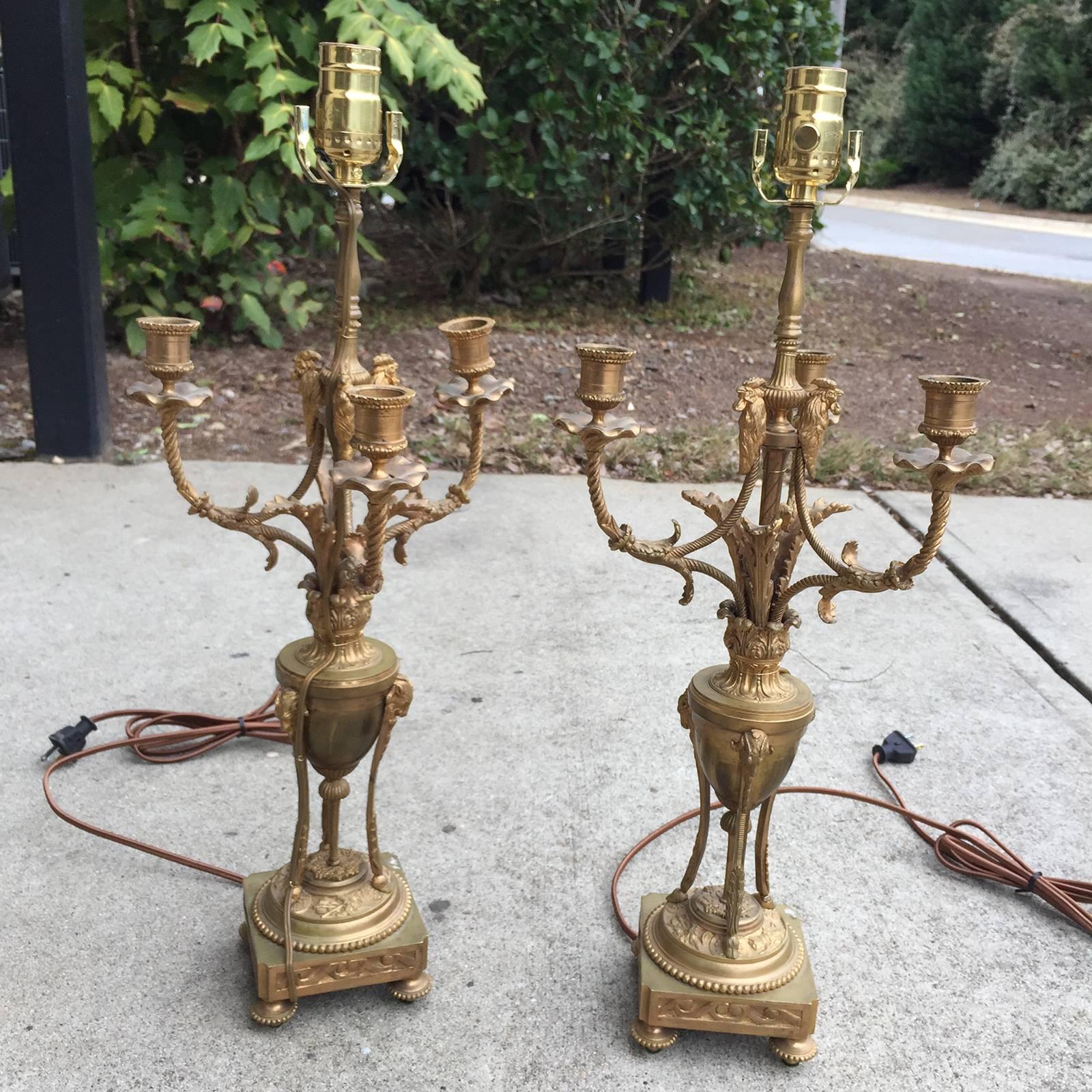 Pair of 19th Century French Louis XVI Style Gilt Bronze Candelabra as Lamps 2