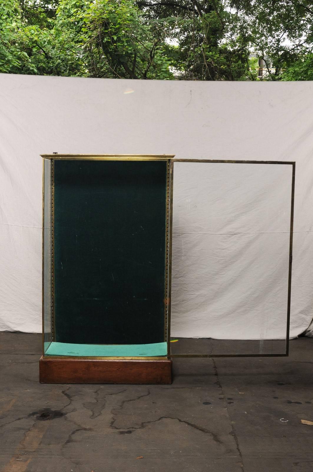 Early 20th Century Large Bronze and Glass Vitrine Cabinet 2